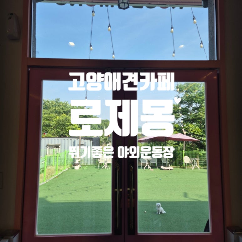 로제몽 이미지