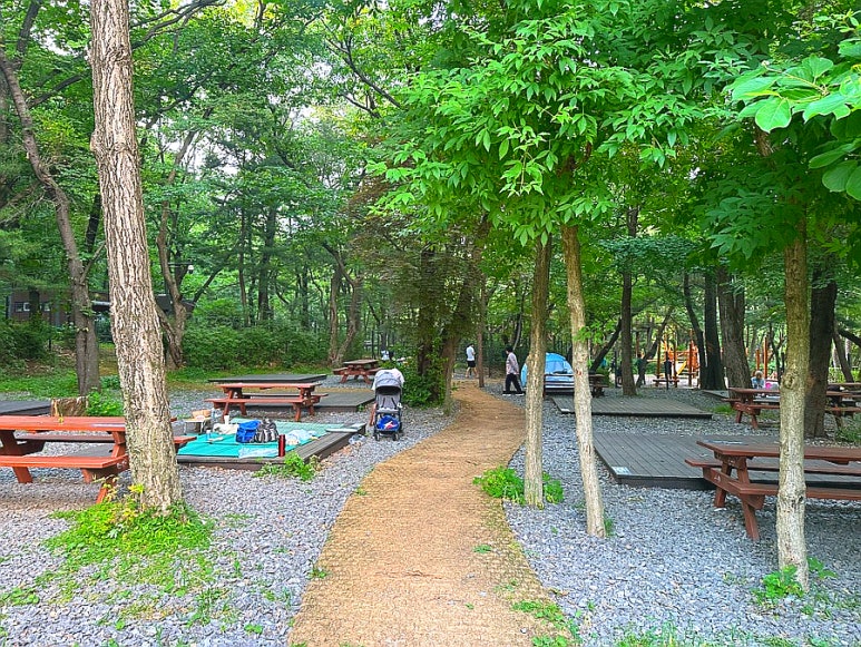 관악산 계곡 캠핑장 이미지