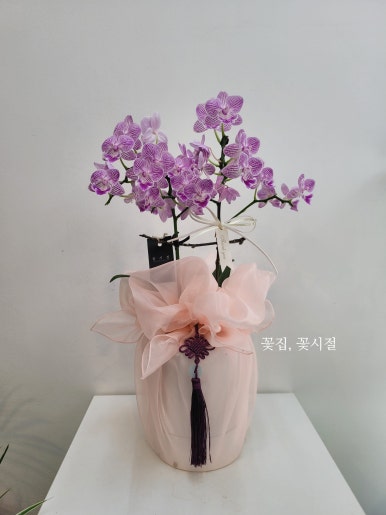 바오건축사사무소 이미지