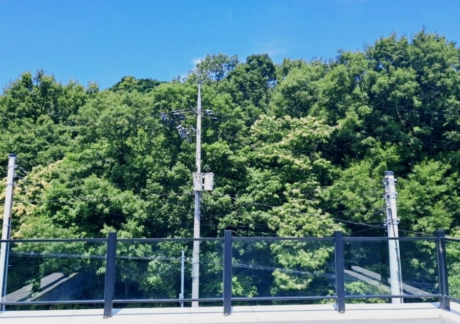 포레스트인휴 이미지