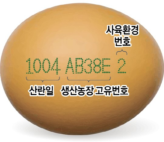 우리계란 이미지