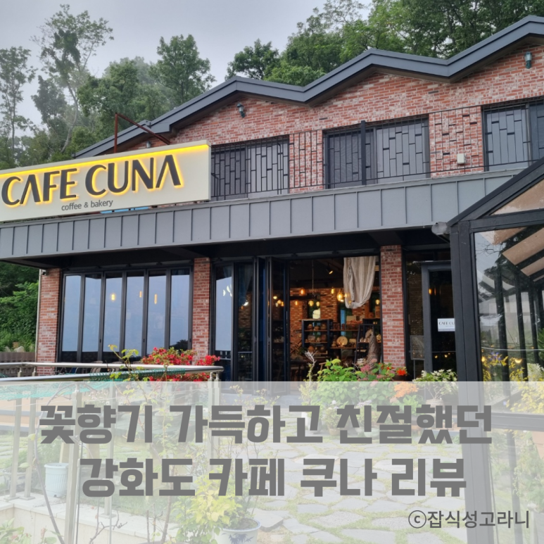 카페쿠나 이미지