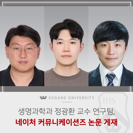 헬리오네이처 이미지