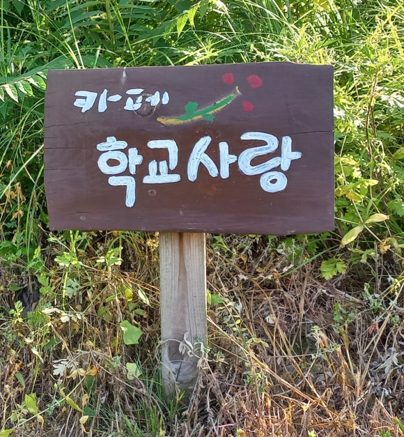 한이관 이미지