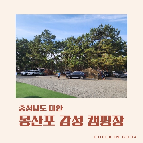 몽산포감성캠핑장 이미지