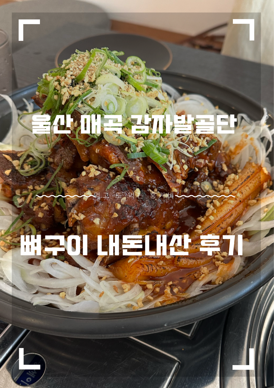 감자발골단 이미지