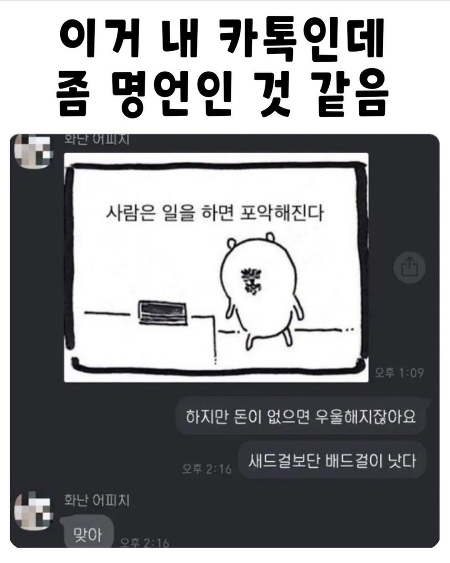 제주오전복 이미지