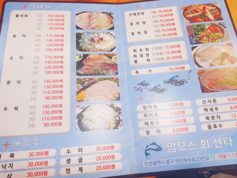 맘모스13호 이미지