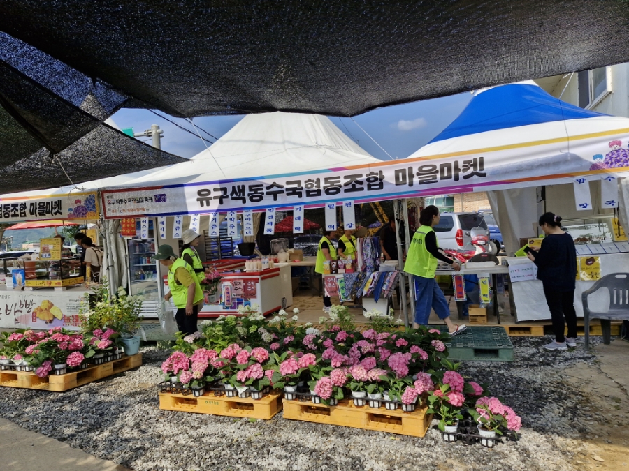유구색동수국협동조합 이미지