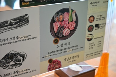 돼지짱 이미지