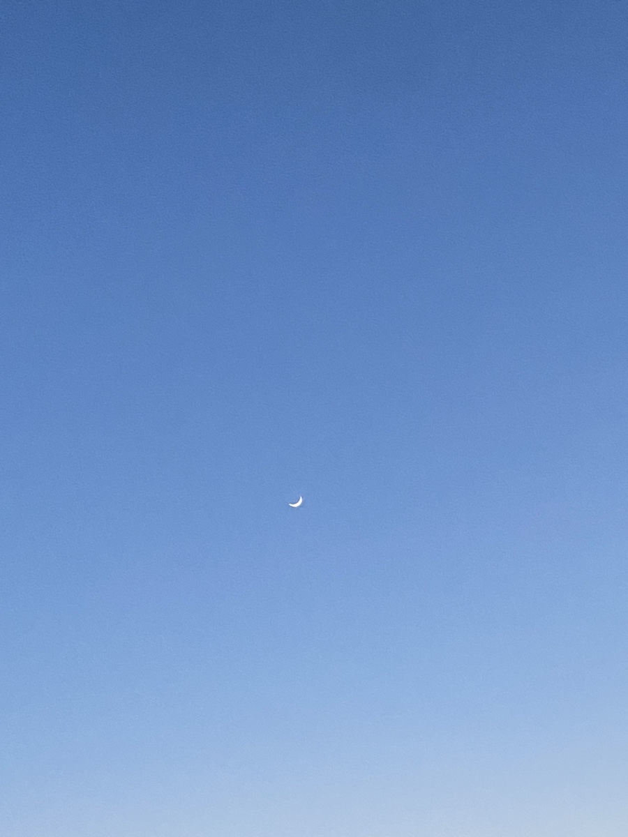 선희밥집 이미지