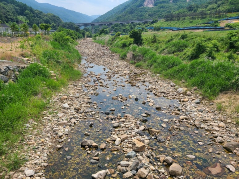 고여사 순대국 이미지
