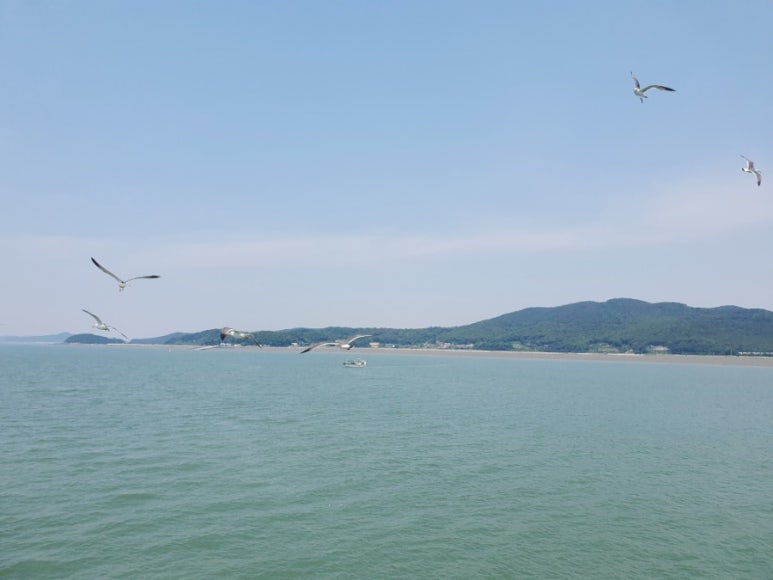 아기숟가락 영종점 이미지