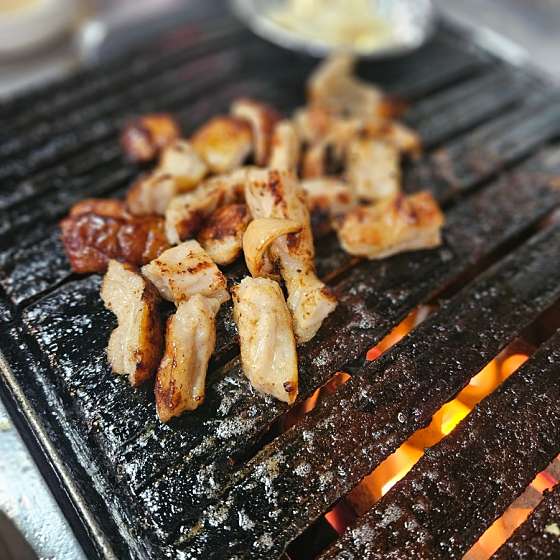 남해바다장어 이미지