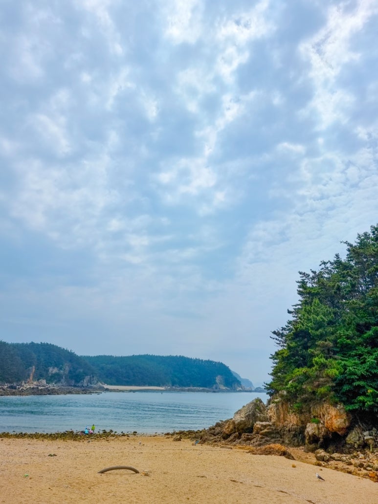 서해땅끝파도리아치내캠핑장 이미지