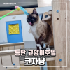 동탄 고양이 호텔 코자냥, 안심 맡김 후기