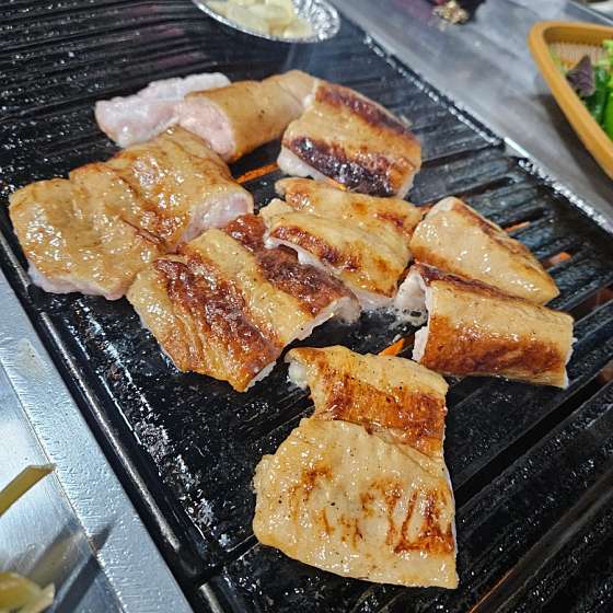 남해바다장어 이미지