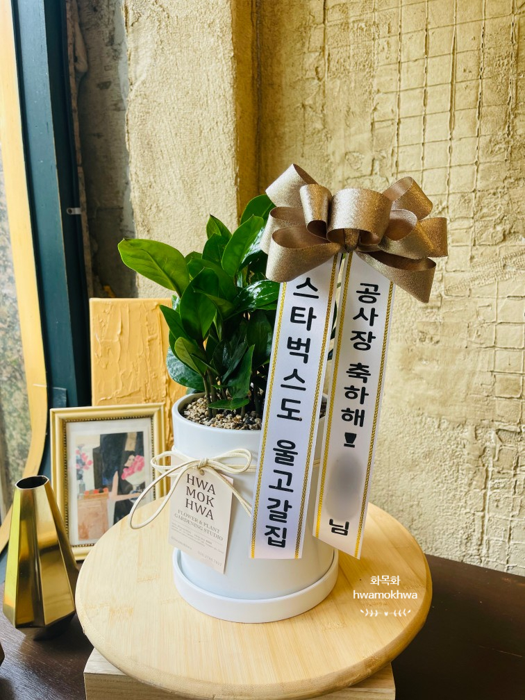화목화 이미지