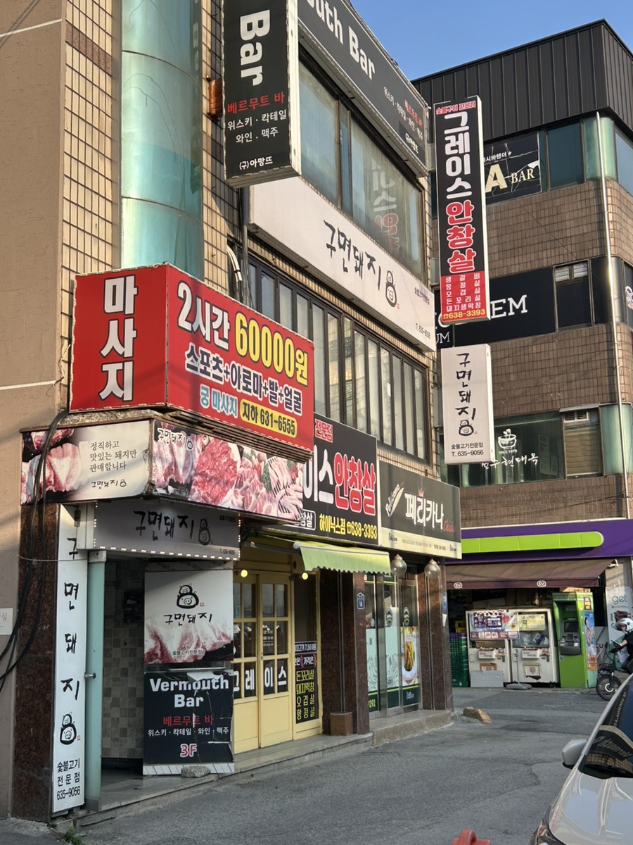 구면돼지 이미지