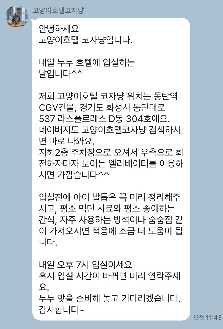 동탄 고양이 호텔 코자냥, 안심 맡김 후기 — 사진 17