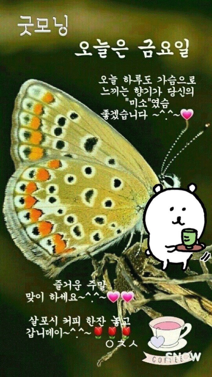 차아빠 이미지