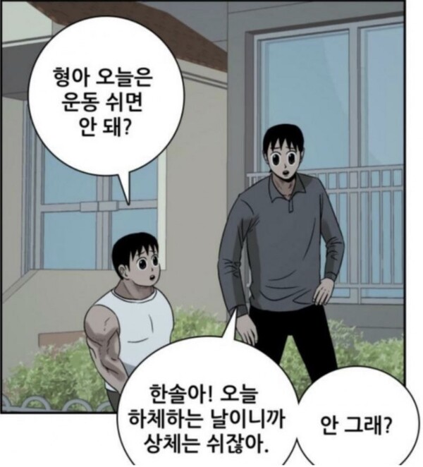 포리프 이미지