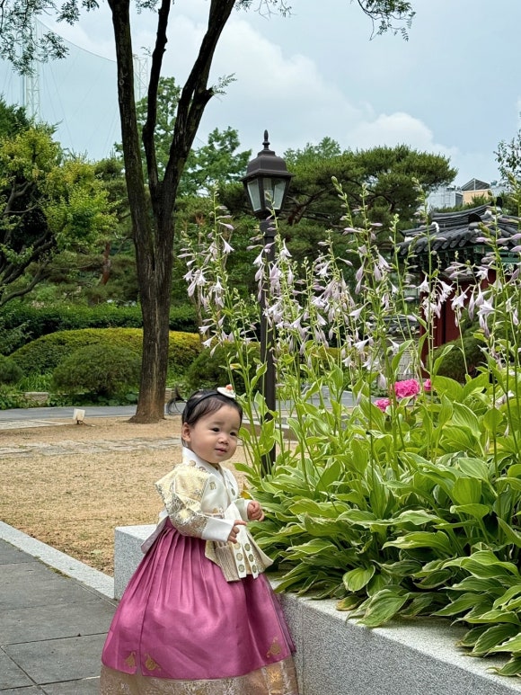 자연스리 이미지