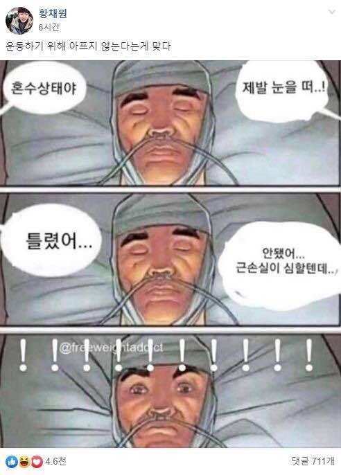 포리프 이미지