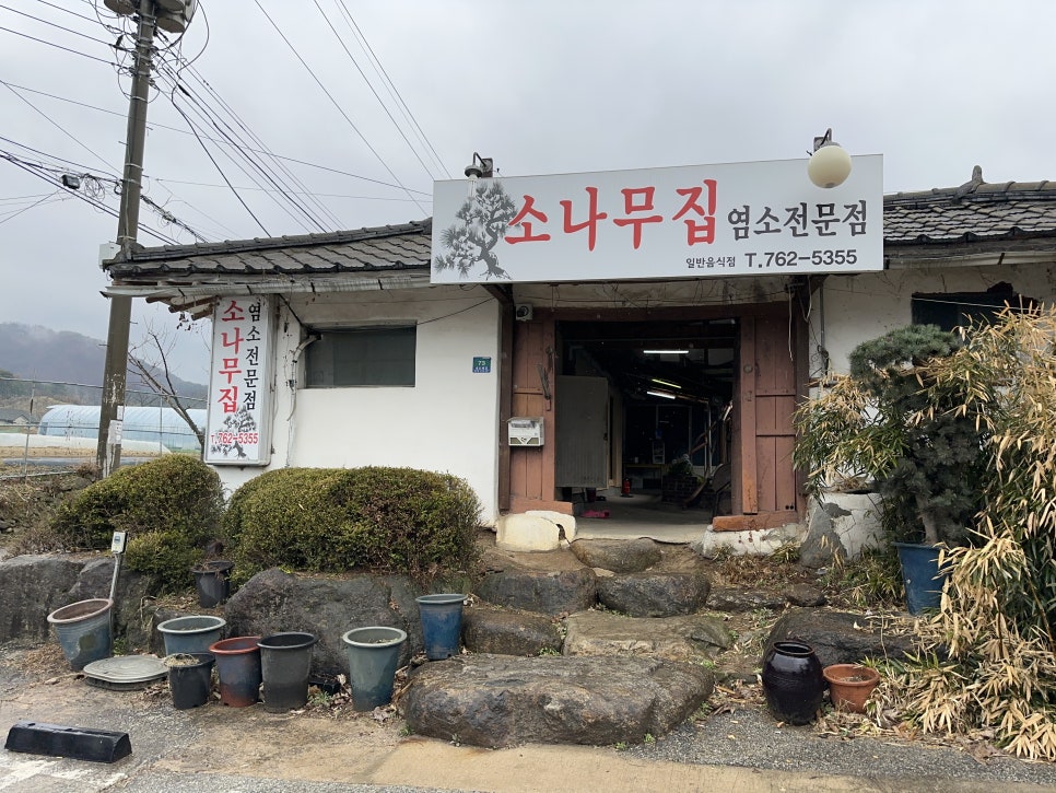 소나무집 이미지