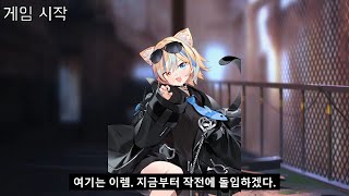 체인지스킨 이미지