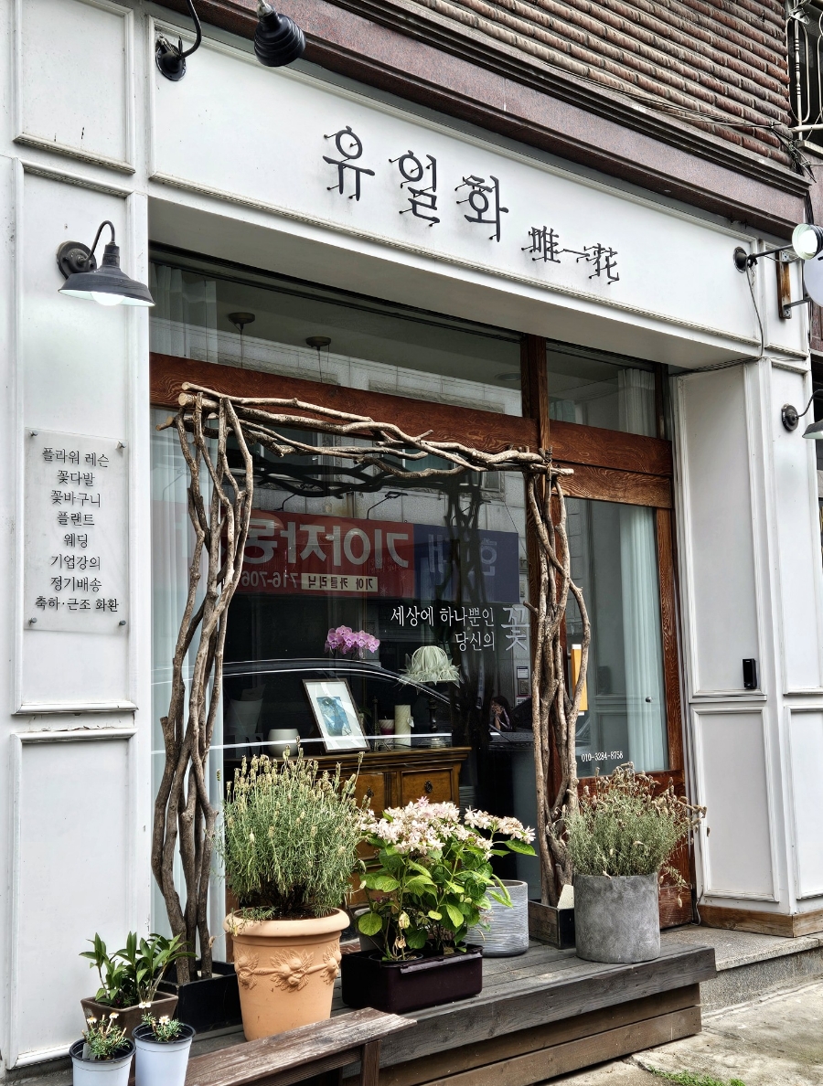 유일화 이미지