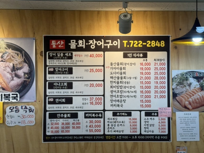 돌산아나고 이미지