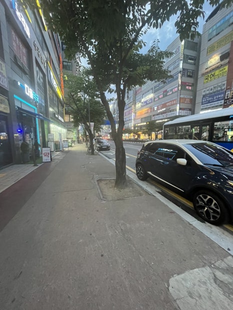 미보정 이미지
