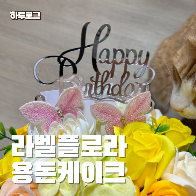 라벨플로라 이미지