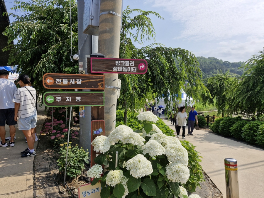 유구색동수국협동조합 이미지