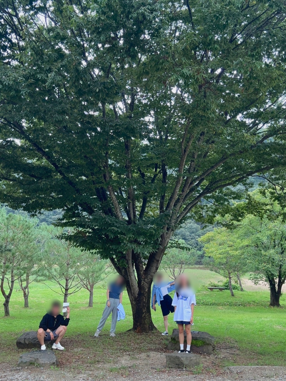 서원컴퍼니 이미지