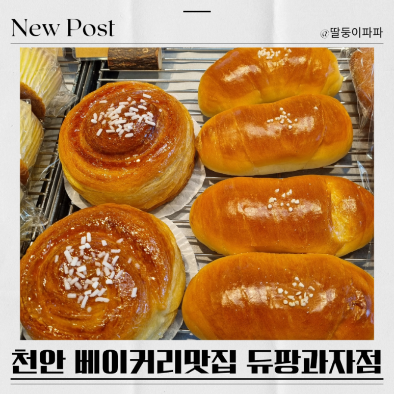 베이커리듀팡 이미지