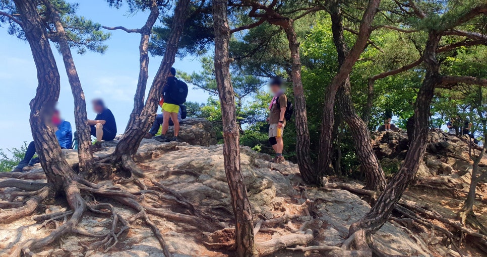 형제봉 정상 전망 이미지