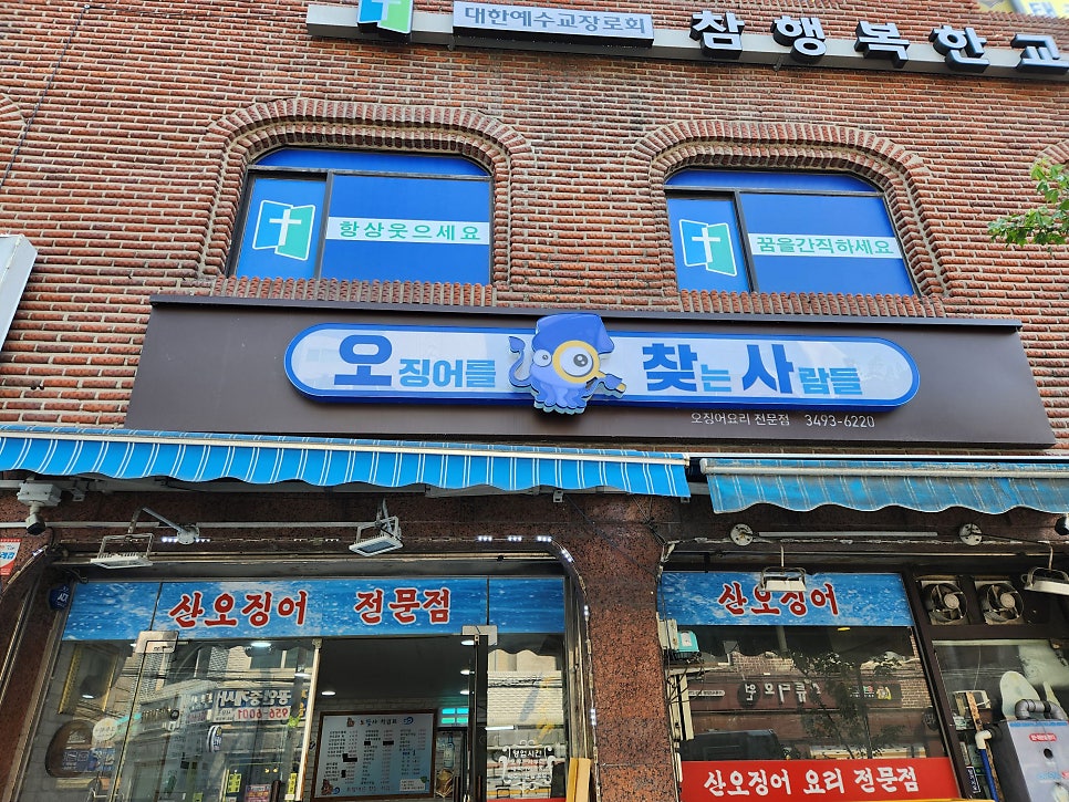 오징어를찾는사람들 이미지