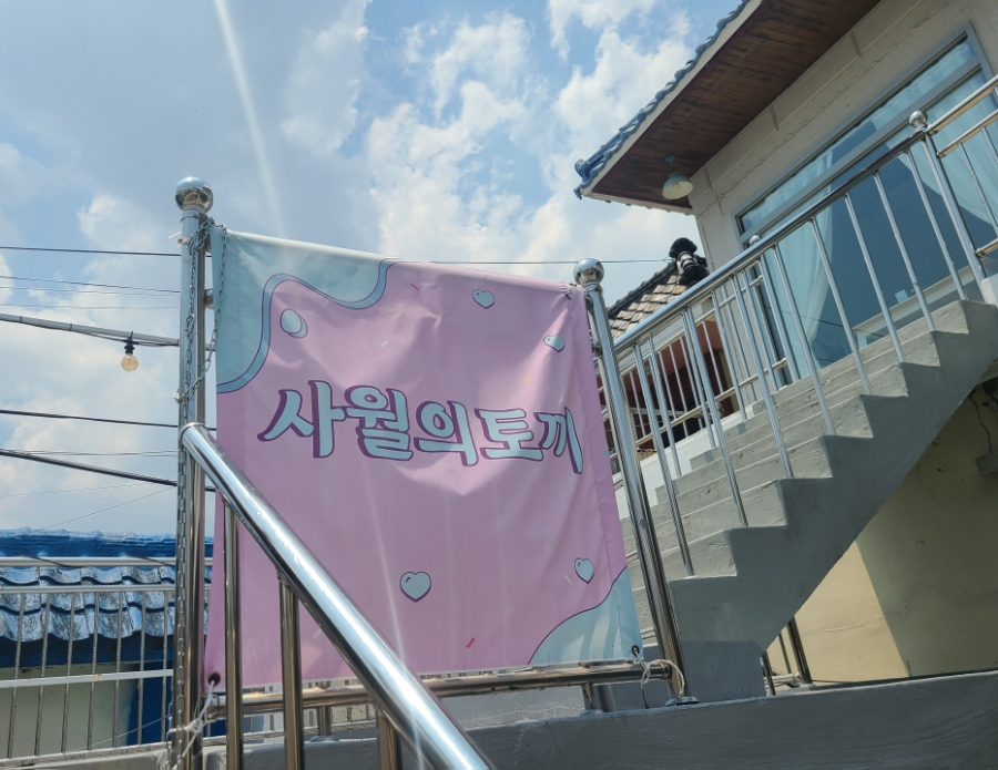 사월의토끼 이미지