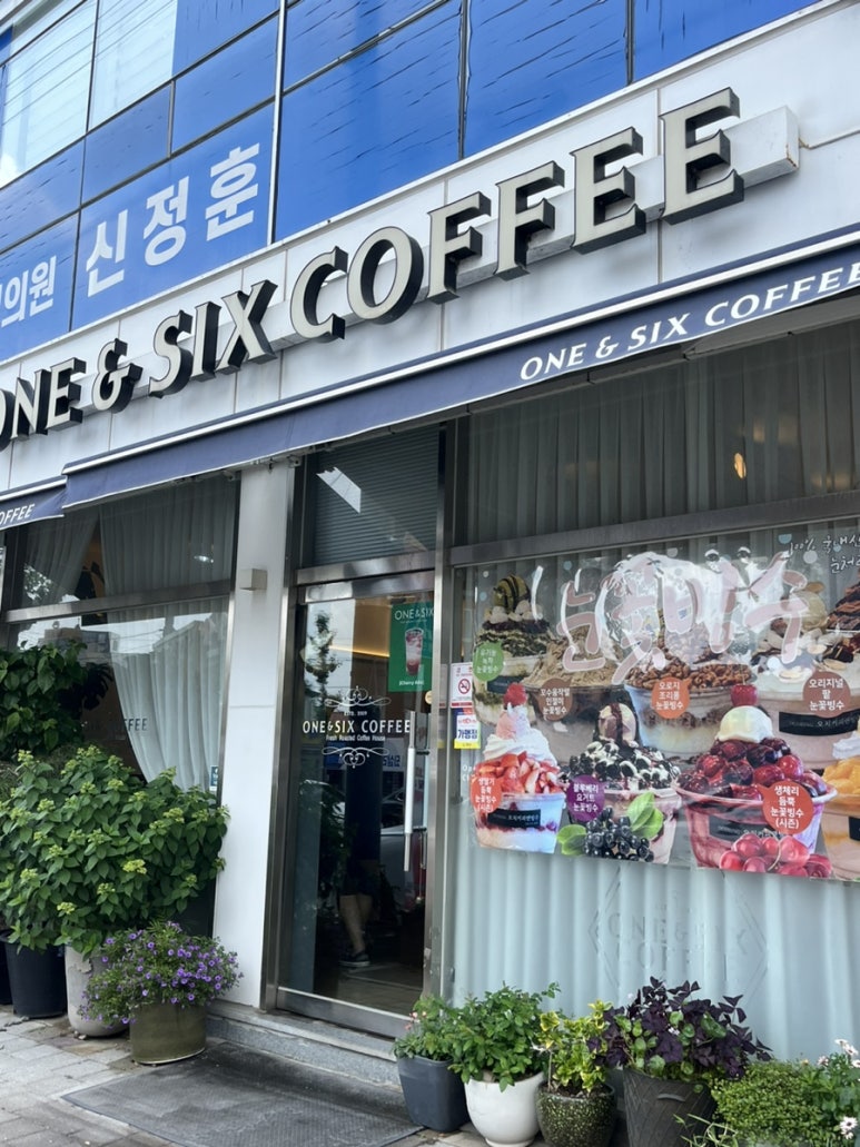 원앤식스 이미지
