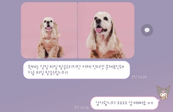 치카치코 이미지