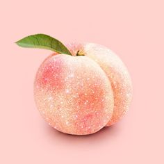 피치피치 이미지