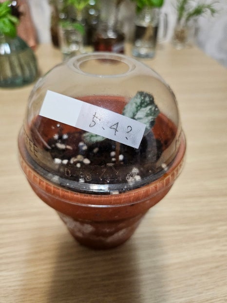 기환경 이미지