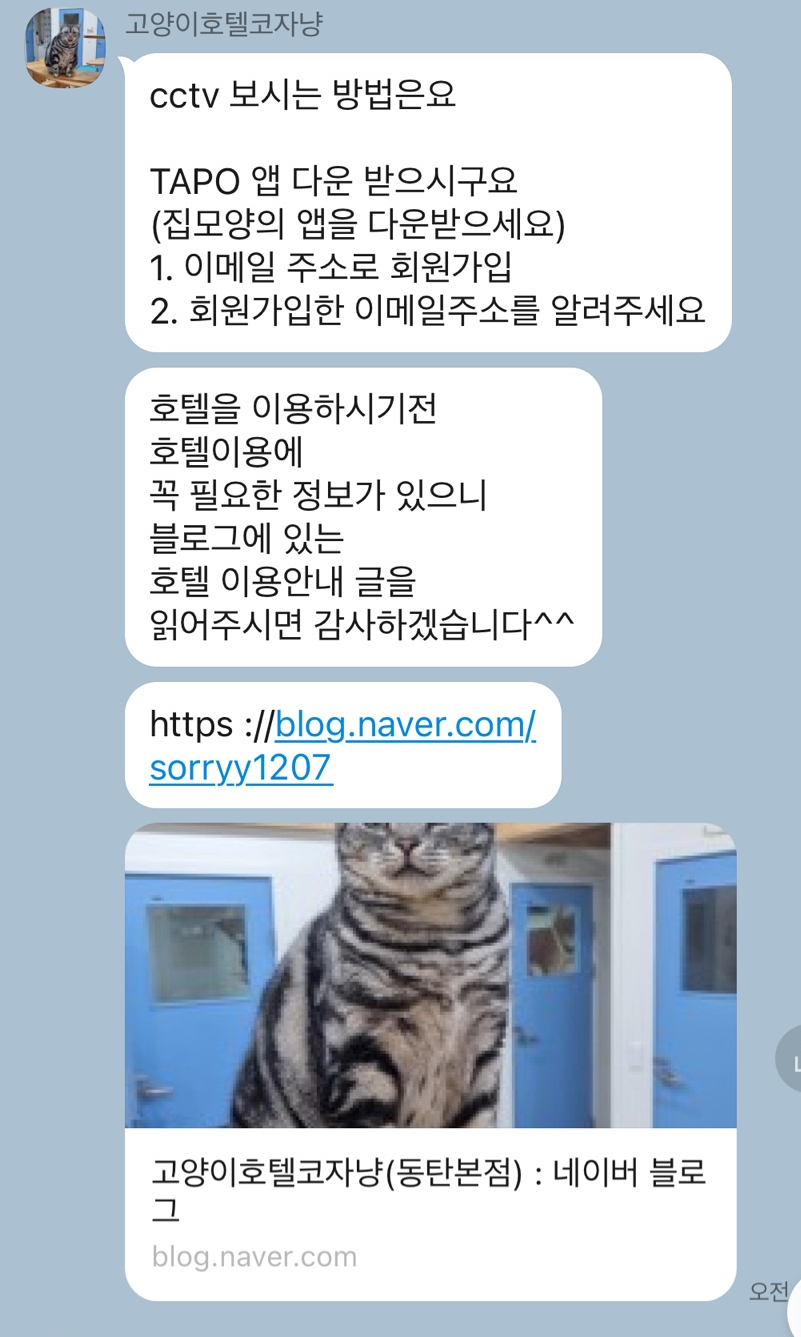 동탄 고양이 호텔 코자냥, 안심 맡김 후기 — 사진 18