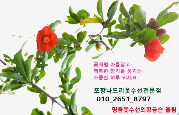 폼명품수선 이미지