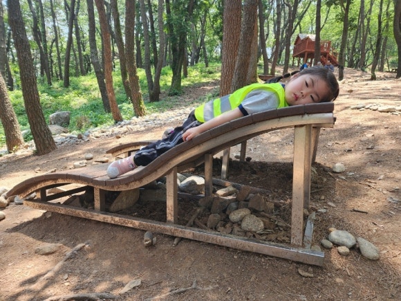 초원사랑어린이집 이미지