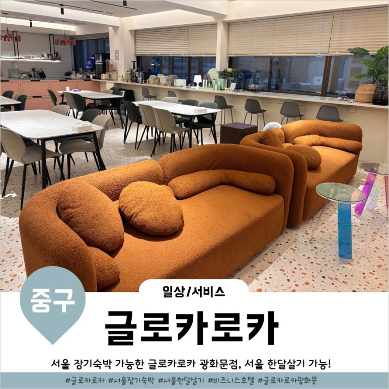 글로카로카 이미지