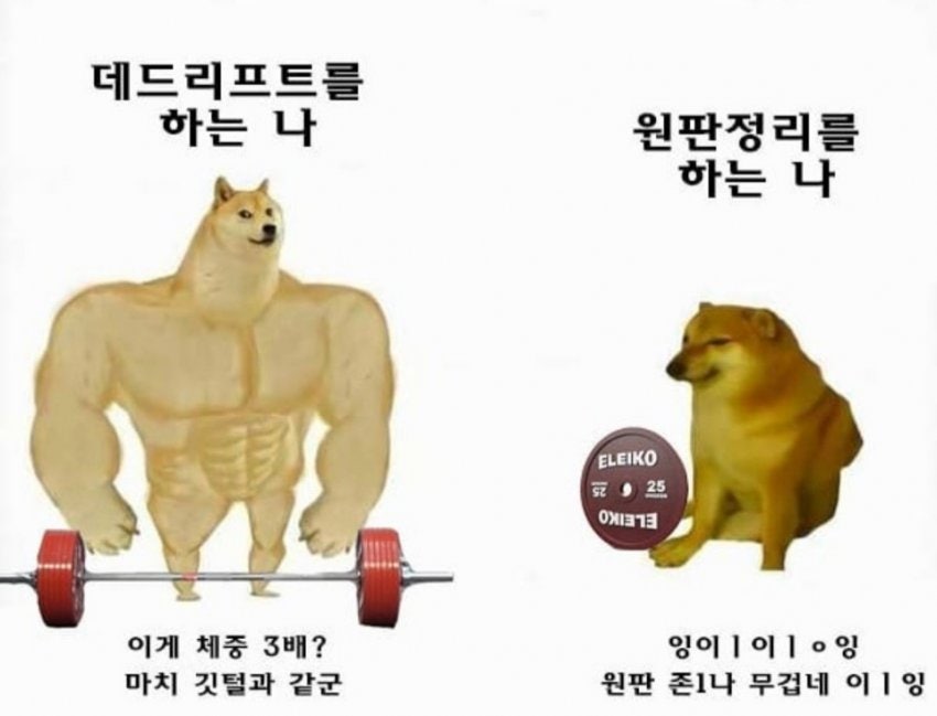 포리프 이미지