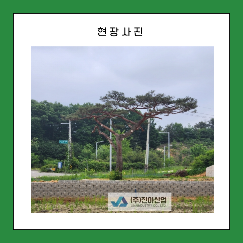 진아기업 이미지